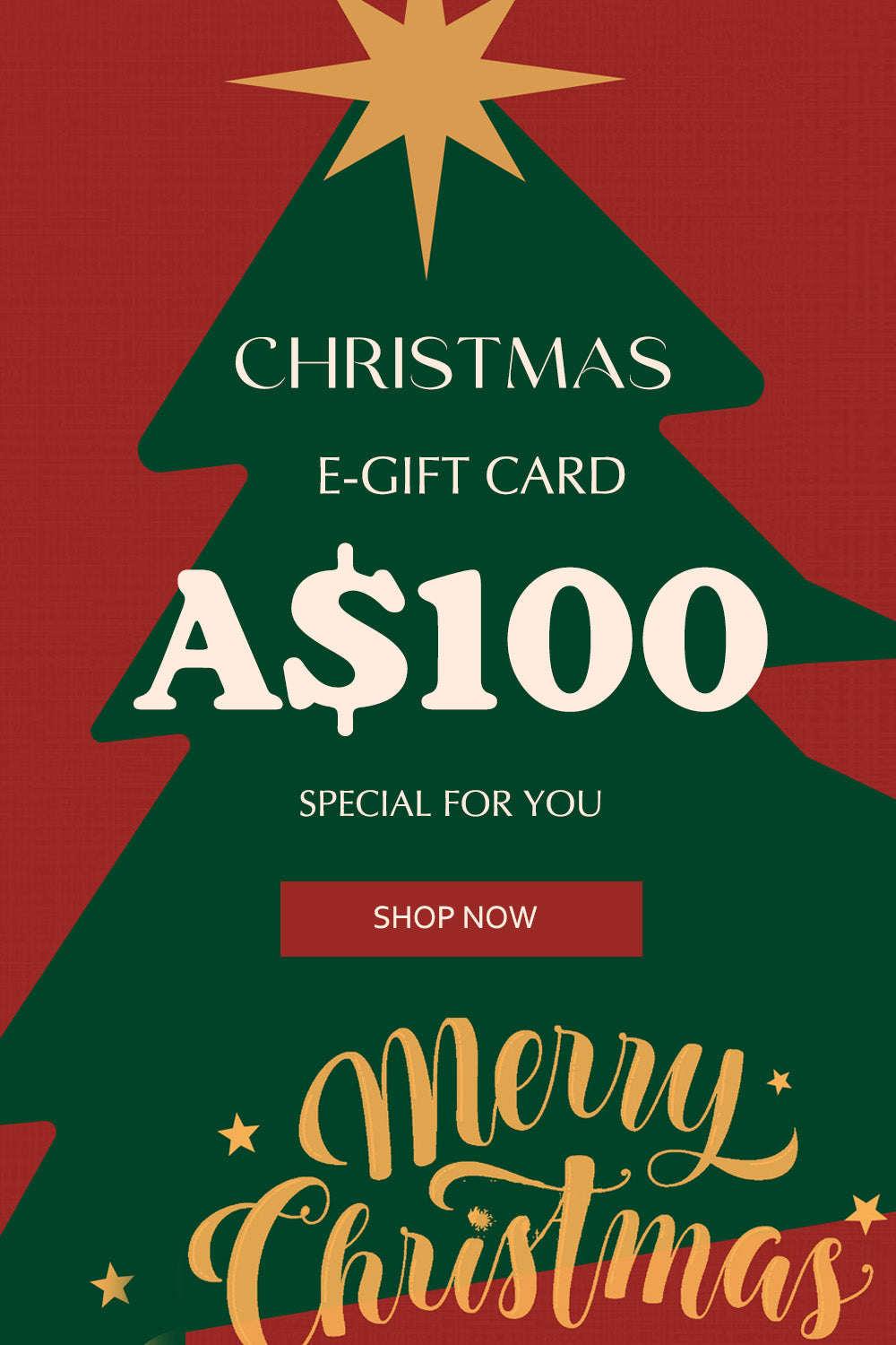 CHRISTMAS GIFT CARD